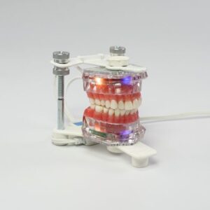 Typodonto Electrónico